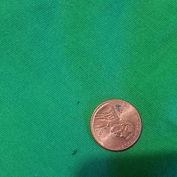 American Eagle ladies tshirt - Picture 4 of 4